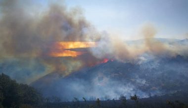 Bursa’da çıkan orman yangınını PKK yandaşları üstlendi