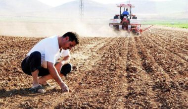 AKP iktidarı tarım ürünleri ithalatına 125,8 milyar ödedi