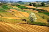 Boş araziler ekilmeli, tarımsal SİT artmalı