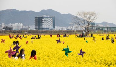 Güney Kore’de Bahar, ‘Çiçek Festivalleri’ ile Yaşanıyor