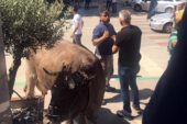 Bursa’da inekleriyle belediyeyi basmıştı… Şimdi de benzin bidonuyla…