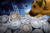 Boji’den ilham alan kripto para birimi hayvanlara yardımı dijitalleştirdi