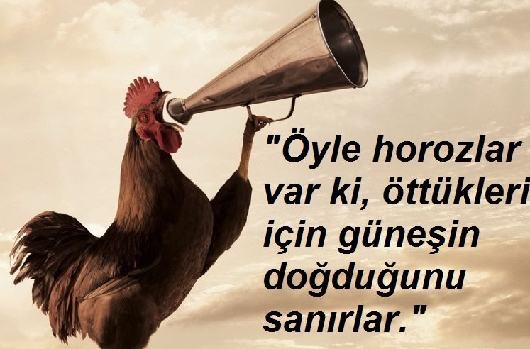 Zeki Baştürk Yazdı; ÖYLE HOROZLAR VARDIR Kİ ÖTTÜKLERİ İCİN GÜNEŞİN DOĞDUĞUNU SANIRLAR.