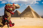 Prontotour rekor hedefle Mısır’a charter uçuşları başlattı