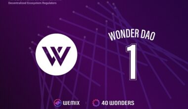 WONDER DAO – WEMIX3.0’ın ilk DAO’su – WONDER 1 olarak Düğüm Konseyi Ortaklarına katıldı
