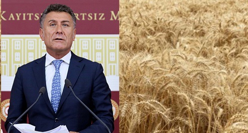 Sarıbal; Türkiye, Buğday İthalatında 100 Milyon Tona Koşuyor