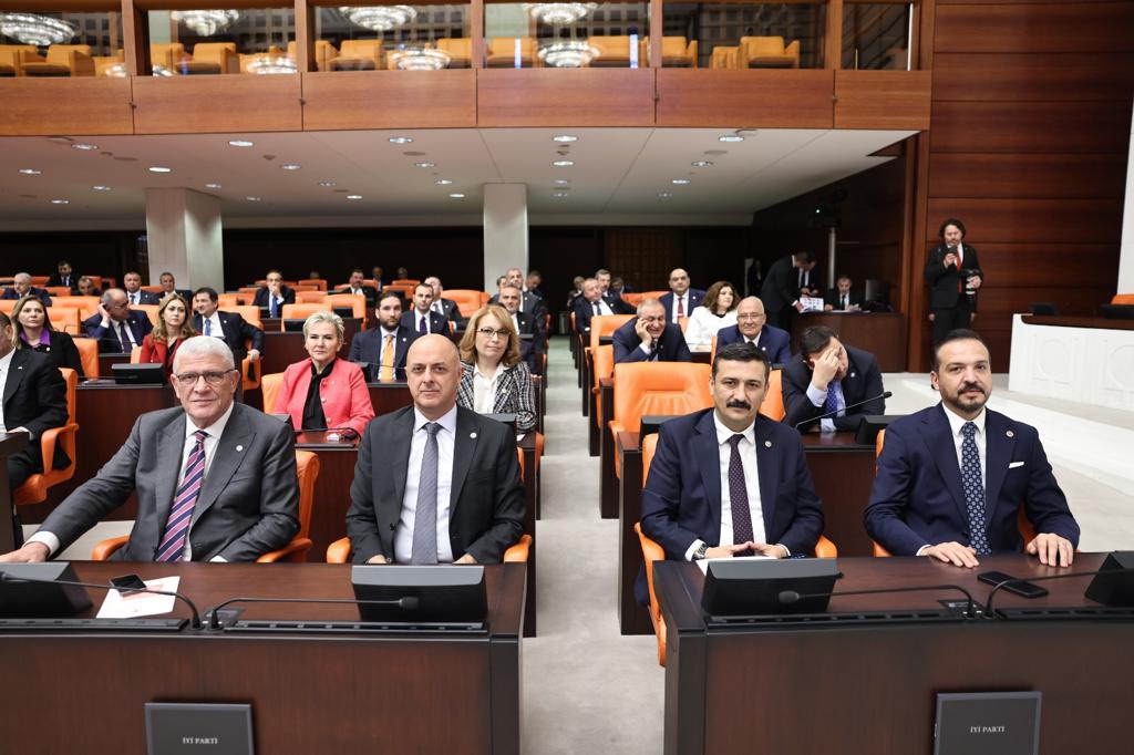 TÜRKOĞLU, İNSAN HAKLARI  İHTİSAS KOMISYONU’NA SEÇİLDİ