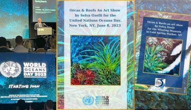 Sanatçı Selva Özelli’nin “Balinalar & Resifler” Sergisi Uluslararası Platformda