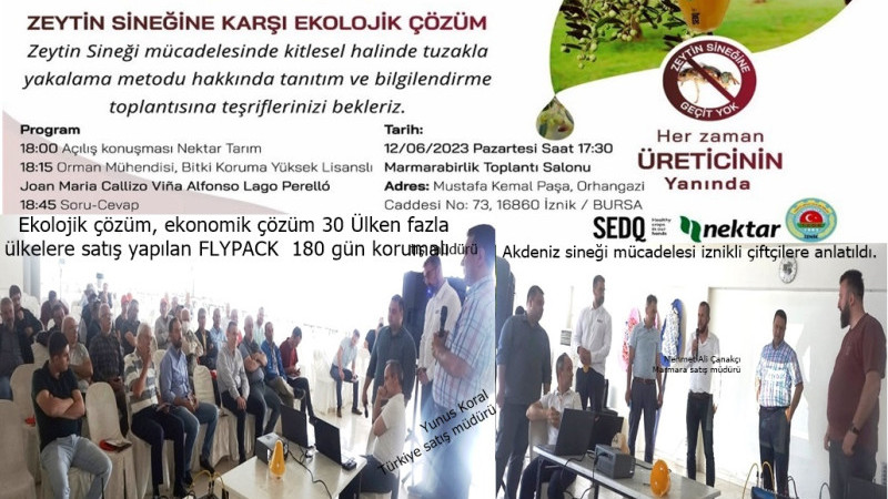ZEYTİN SİNEĞİ MÜCADELESİN’DE EKOLOJİK ÇÖZÜM
