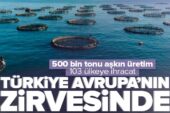 Türkiye, 103 ülkeye su ürünleri ihracatı yapıyor