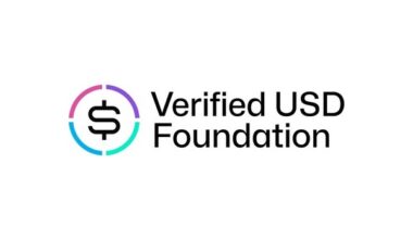 Doğrulanmış USD Vakfı, ABD Hazinelerine Sabitlenmiş Devrim Niteliğindeki Stablecoin olan USDV’yi Piyasaya Sürüyor