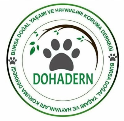 DOHADERN; Katı Evsel Atıklardan Sokak Canlarına Mama Desteği Vicdani Sorumluluğun Gereğidir!