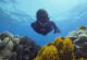 “Mercanlar İçin Mücadele” Belgeseli 22 Nisan Dünya Günü’nde Discovery ve discovery+’ta ekrana gelecek