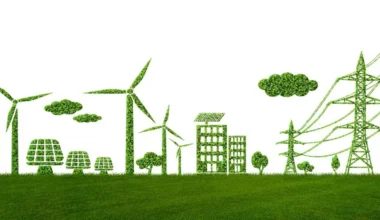 “Her ülke enerji çeşitliliğini sağlamak zorunda”