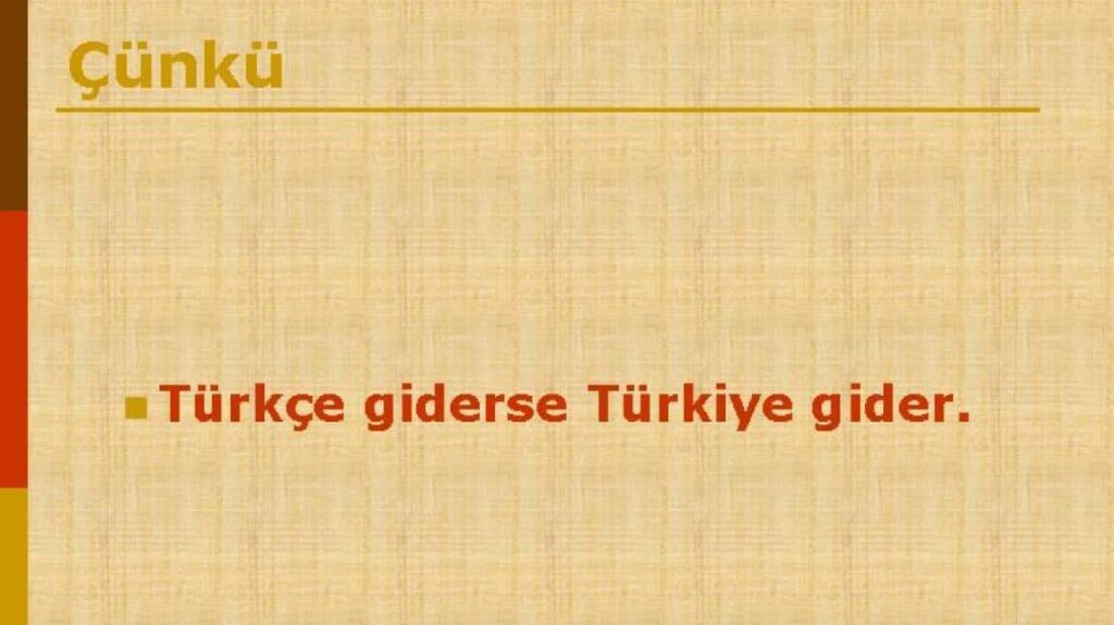 Zeki Baştürk yazdı; TÜRKÇE GİDERSE TÜRKİYE GİDER
