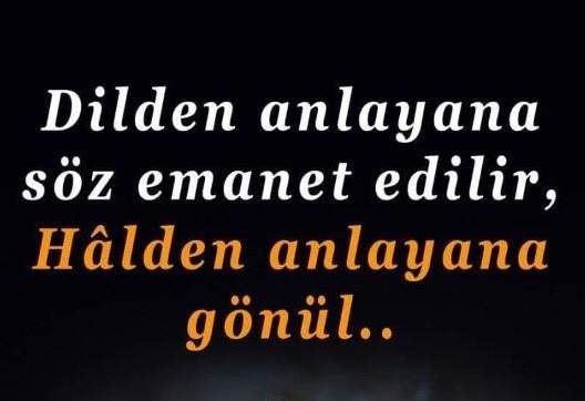 Ali Yazır yazdı; Dilden anlayana sözünü, halden anlayana gönlünü emanet et