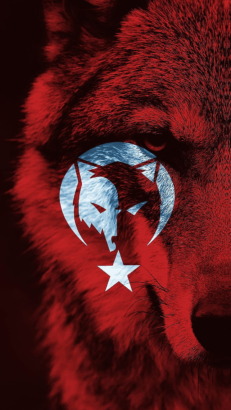 Canı pahasına vatan hainleriyle mücadele eden birine bunu nasıl söyler yaparsınız?