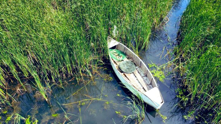 Uluabat Gölü’nde Kaçak Avcılığa Geçit Yok: 30 Kişiye 427 Bin TL Ceza