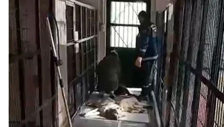 Aydınlık Geleceğin Partisi Genel Başkan Yardımcısı ve Bursa İl Başkanı Ayhan Çolak’tan Osmangazi Barınağı Olayına Sert Tepki