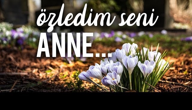 Zeki Baştürk yazdı; ÖZLEDİM SENİ ANNEM