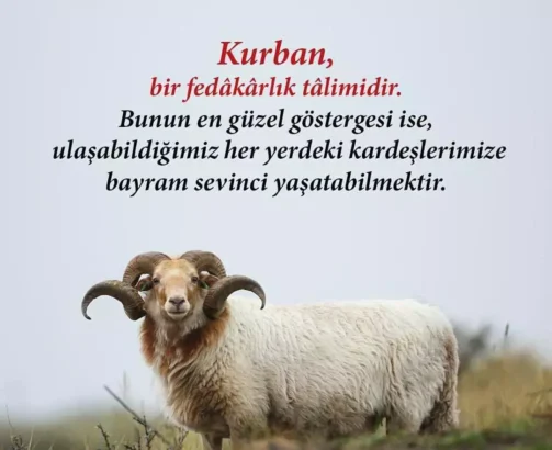 Fuat Kadıoğlu’ndan Kurban Bayramı Mesajı: “Gönüllerin Birleştiği Bir Bayram Olsun”