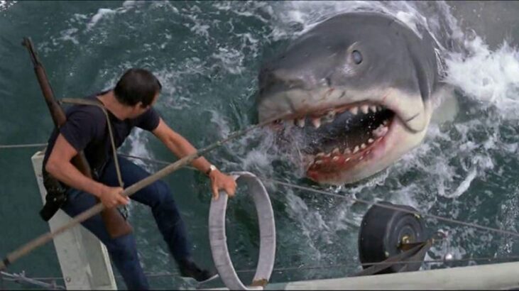 Suçüstü: Köpek Balığı Saldırısı  (Caught! Sharks Strike Back)
