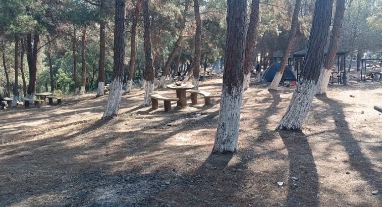 Gemlik Küçükkumla’da Mangal Skandalı!