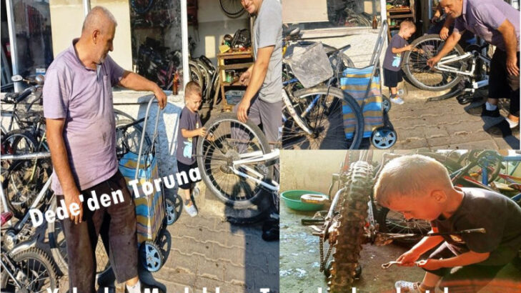DEDE’DEN TORUNA