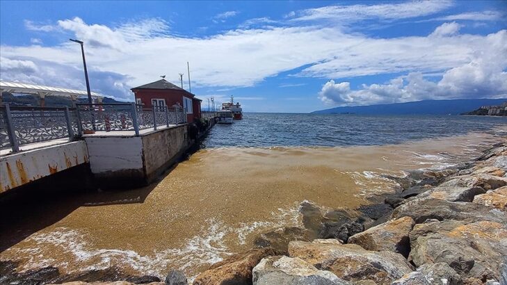 Gemlik’te Skandal Tablo! Pislik Denize Sorumlular Seyirde!