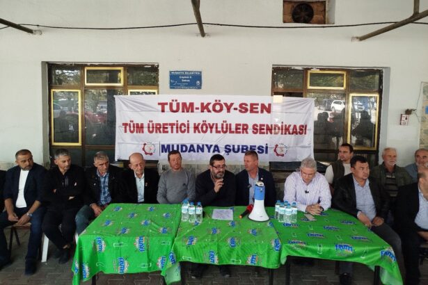 Mudanya’da Tarla Satışı Krizi