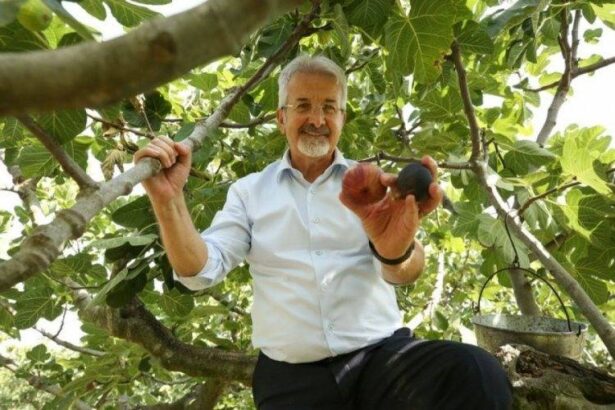 İDDİALAR İSPATLANMADAN YARGISIZ İNFAZ YAPMAK İNSANLARIN YAŞAMLARINA SEBEP OLABİLİR.