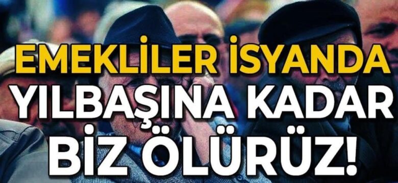Gönül Boran Özüpak’tan Sert Çıkış: “Yılların Emeği Nerede?”