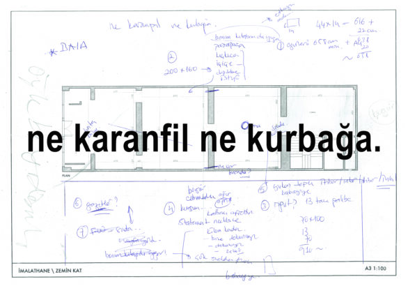 Banu Cennetoğlu’nun “ne karanfil ne kurbağa.” adlı kişisel sergisi 25 Ekim’de İMALAT-HANE’de açılıyor