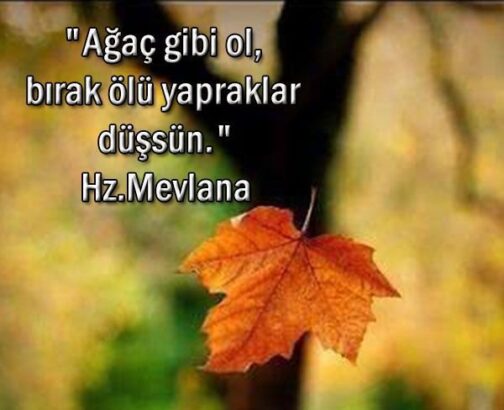 “Sonbahar Gibi Olmak”