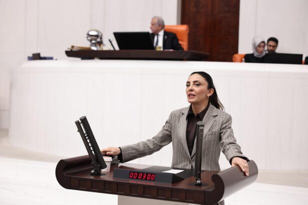 “Sanata Zam, Sanatçıya Baskı”