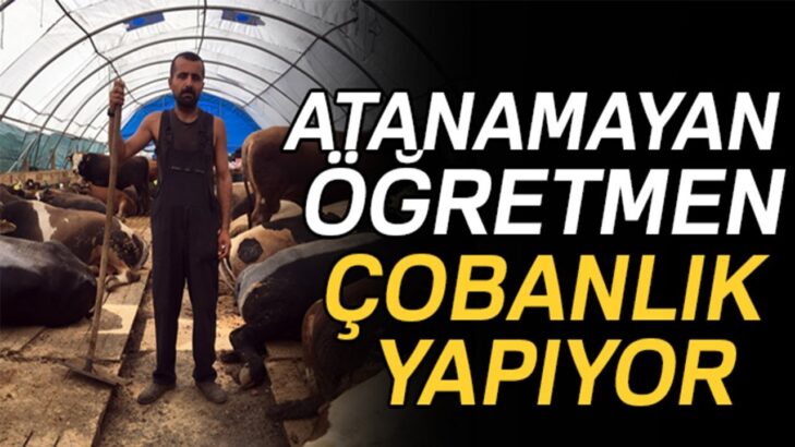 Ahmet Koçak Yazdı: “Sürünün Başındaki Çoban”