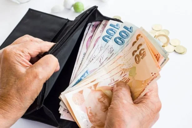 Emekli Maaşımızı Geçinemeyen Vekillere Bağışlayalım!