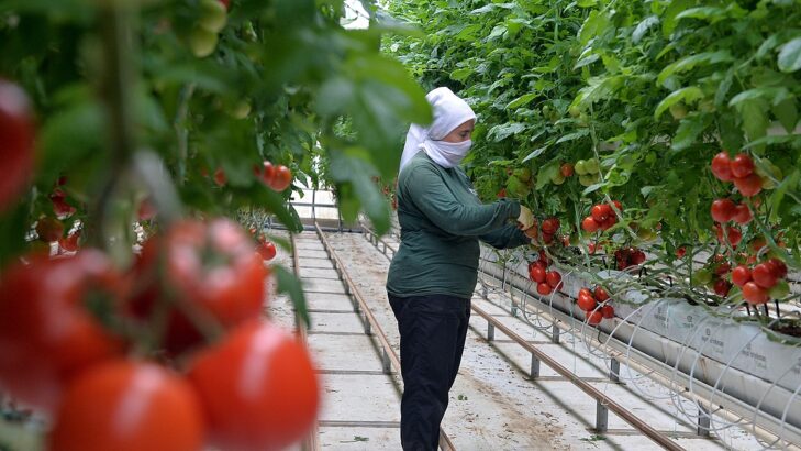 Termal Seralar Projesi Türkiye’ye Güç Katacak