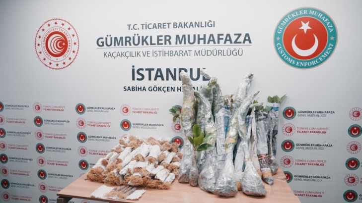 Gümrük Muhafaza Türkiye