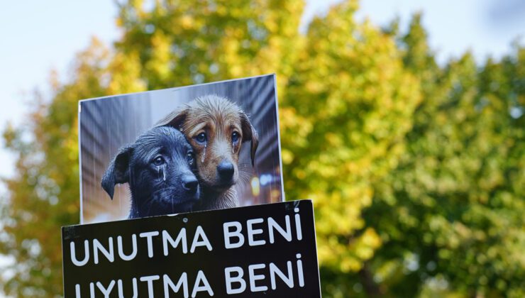 Hayvan Hakları Savunucusu Kazım Gezer’den Mehmet Emin Direkçi’ye Duygusal Teşekkür Mesajı