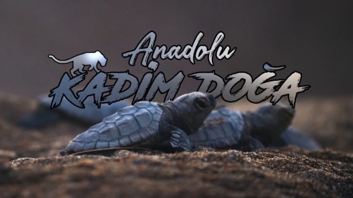 ANADOLU’NUN KADİM DOĞASI