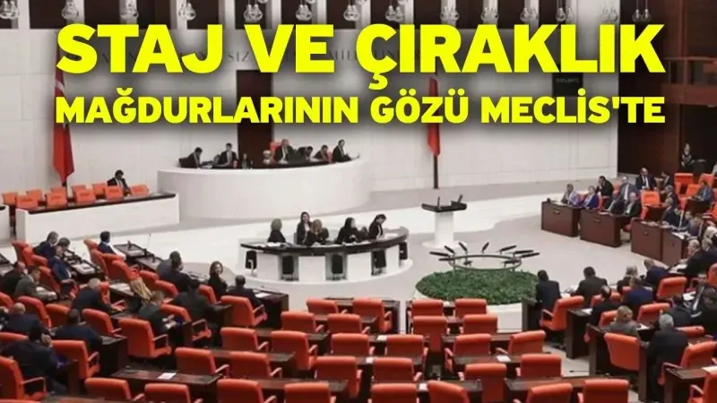 “Meclis Artık Mağdurların Sesine Kulak Vermeli!”