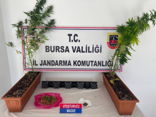 BURSA JANDARMASI’NDAN UYUŞTURUCU OPERASYONU: SKUNK, KENEVİR VE ESRAR ELE GEÇİRİLDİ