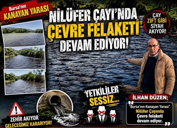 Karacabey’de Nilüfer Deresi İçin Yıllardır Süren Mücadele