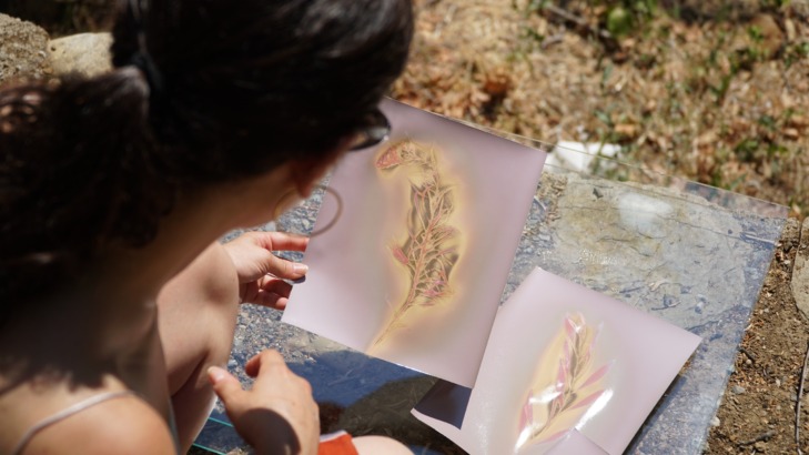 Doğaya Sanat Programı Sona Erdi