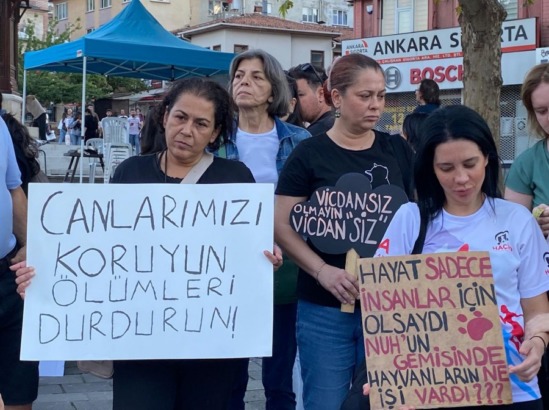 Bursa’da Hayvan Hakları İçin Yeni Yapılanma